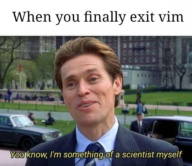 vim meme