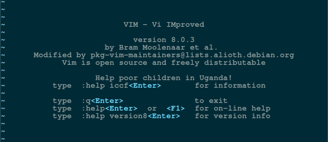 vim main screen